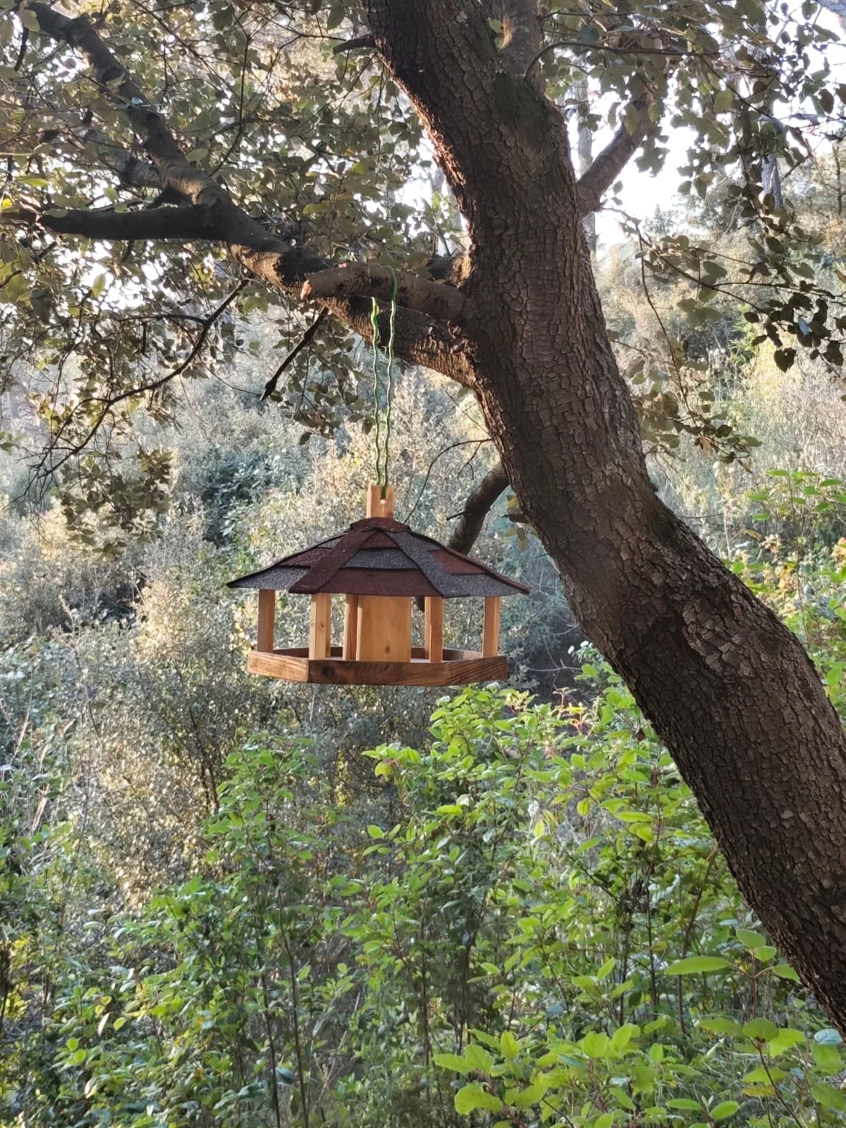 Mangeoire artisanale BoisEtOiseaux au milieu des arbres