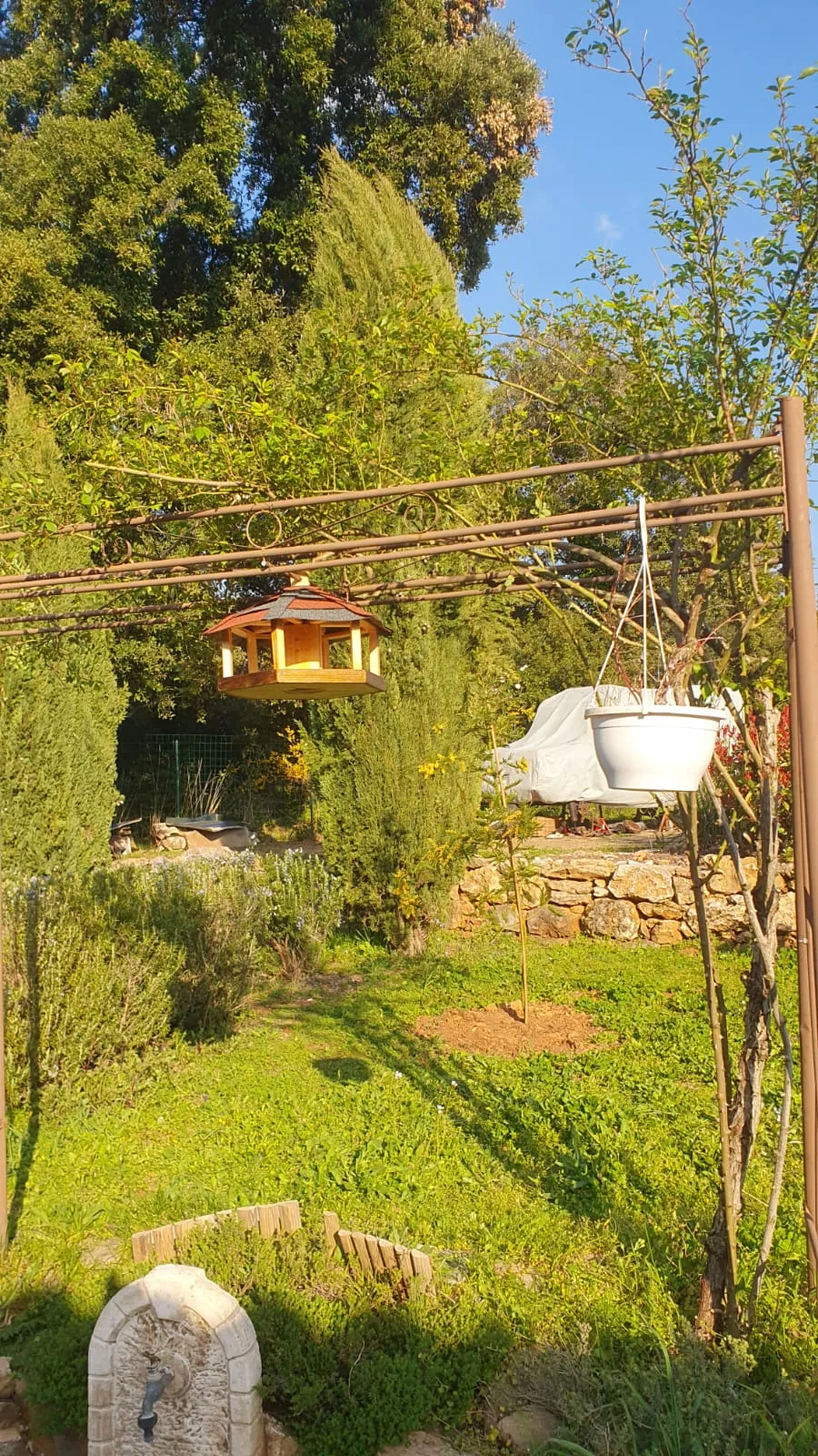 Mangeoire suspendue au cœur d’un jardin ensoleillé