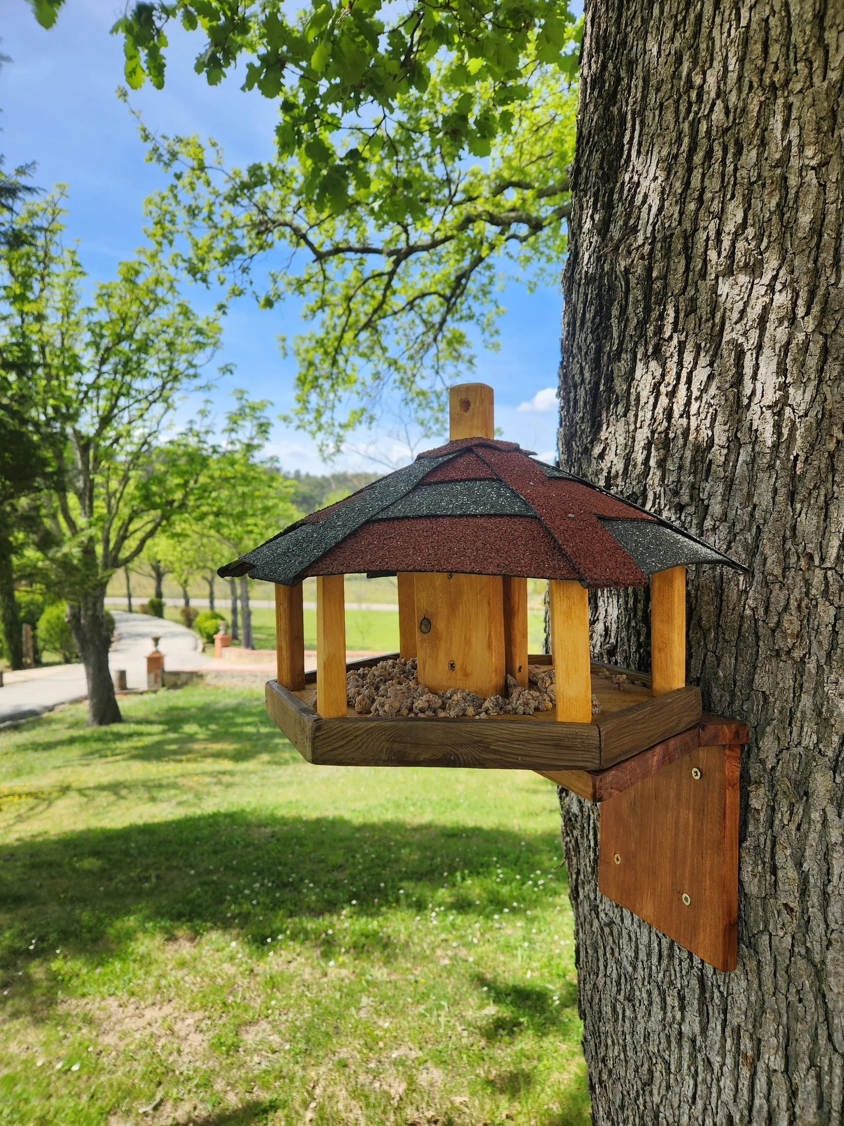 Mangeoire artisanale BoisEtOiseaux installée près d’un grand chêne