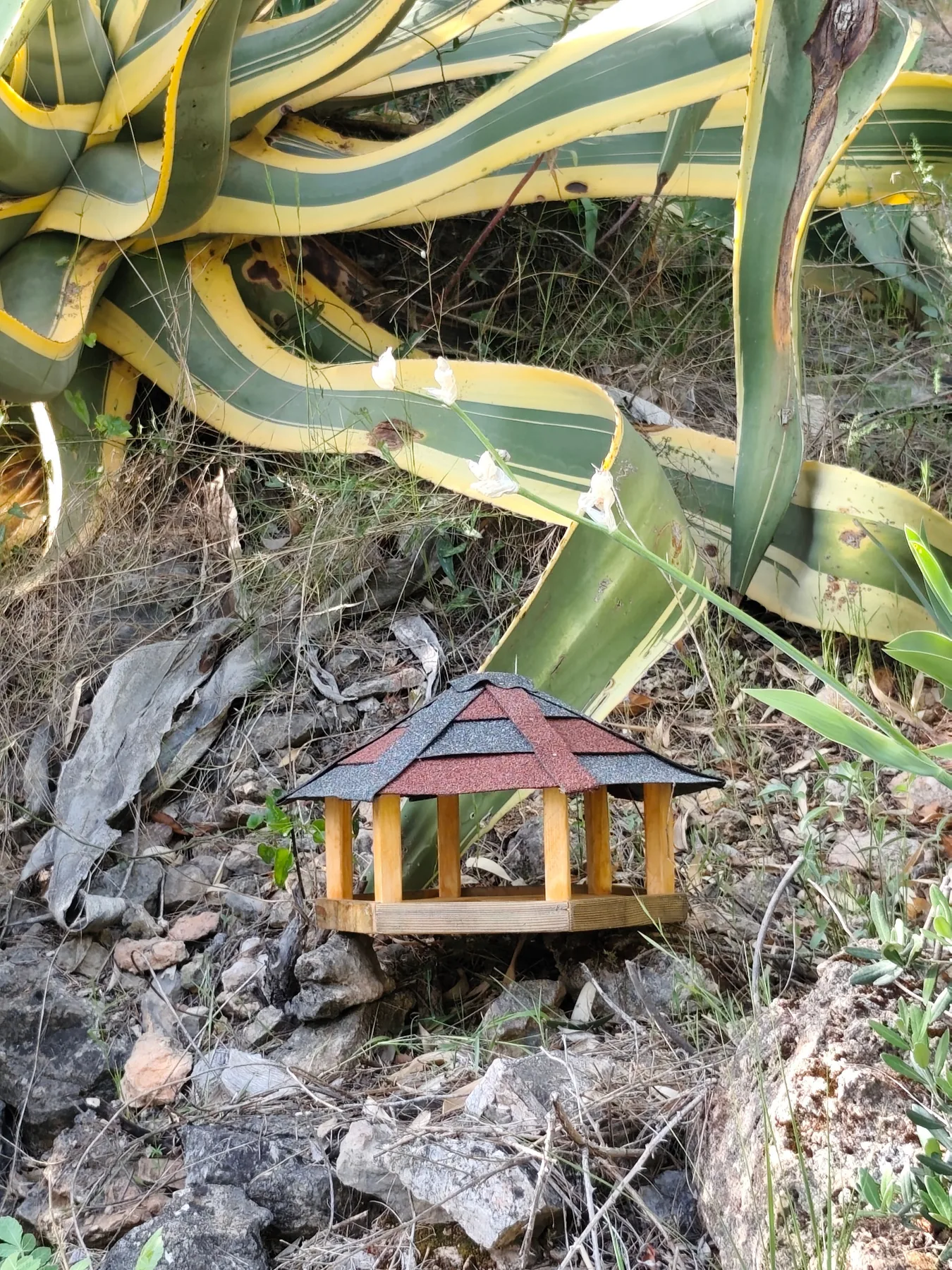 Mangeoire à poser dans un jardin méditerranéen