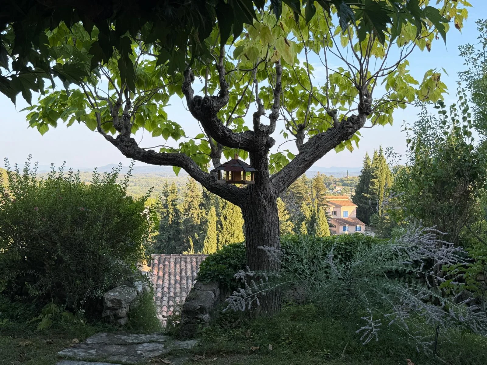 Mangeoire installée dans un arbre avec vue sur les collines